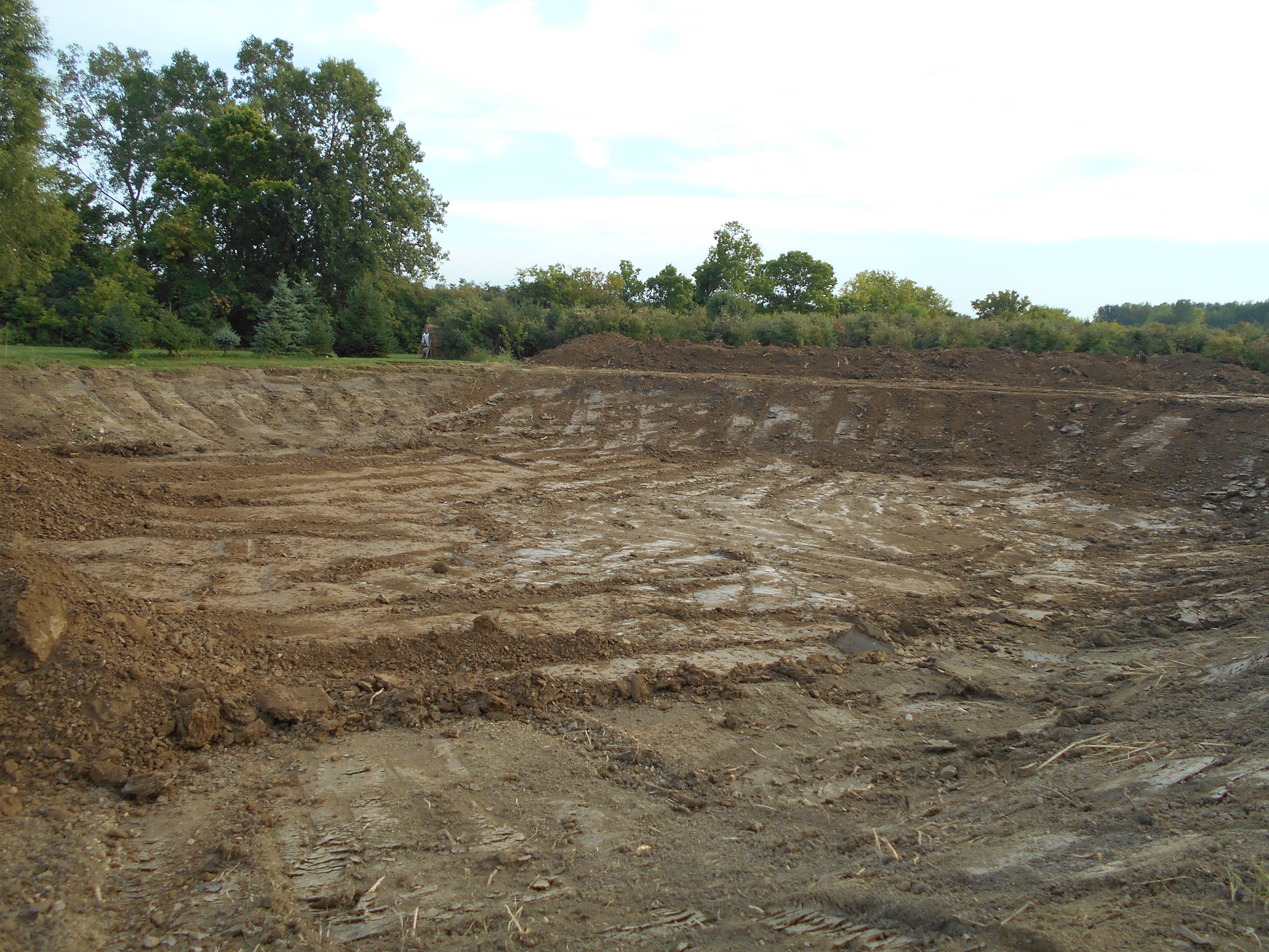 Carleton, MI Clean Out